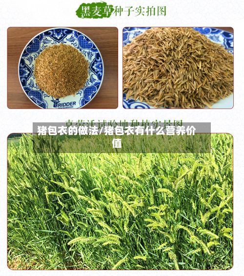 猪包衣的做法/猪包衣有什么营养价值