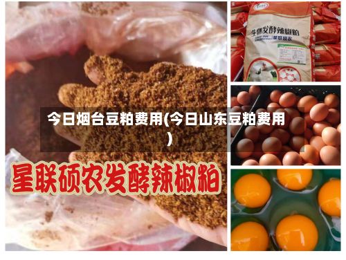 今日烟台豆粕费用(今日山东豆粕费用)-第2张图片