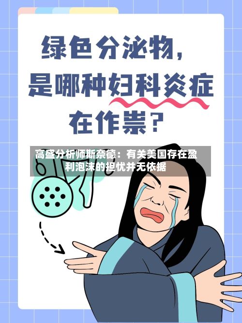 高盛分析师斯奈德:有关美国存在盈利泡沫的担忧并无依据-第2张图片