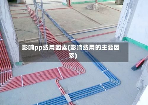 影响pp费用因素(影响费用的主要因素)