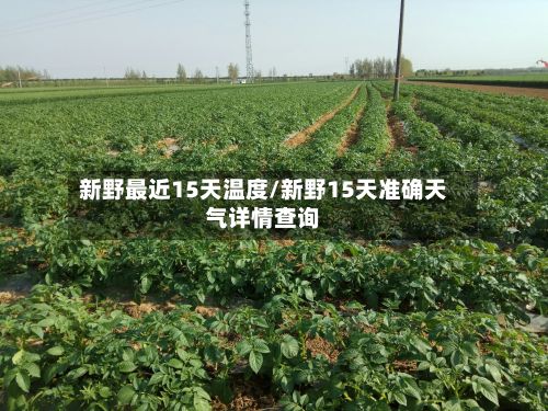 新野最近15天温度/新野15天准确天气详情查询-第2张图片