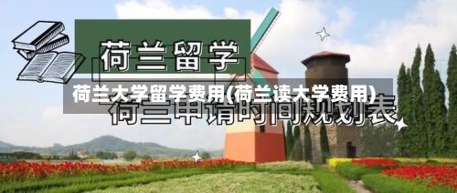 荷兰大学留学费用(荷兰读大学费用)-第2张图片