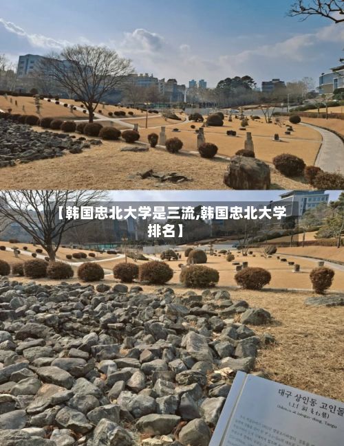 【韩国忠北大学是三流,韩国忠北大学排名】-第3张图片