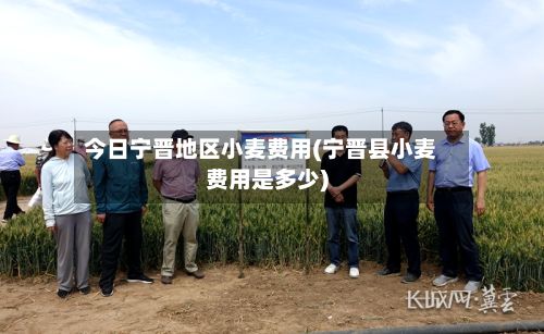 今日宁晋地区小麦费用(宁晋县小麦费用是多少)-第3张图片