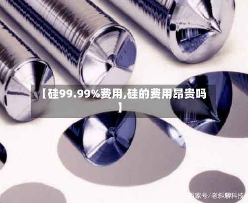 【硅99.99%费用,硅的费用昂贵吗】-第2张图片