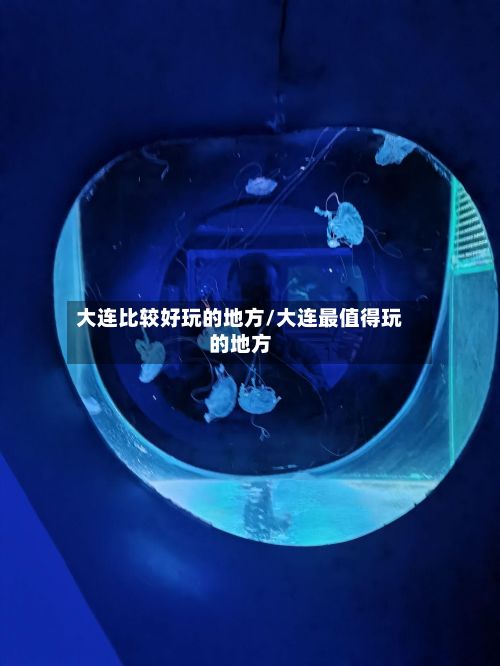 大连比较好玩的地方/大连最值得玩的地方