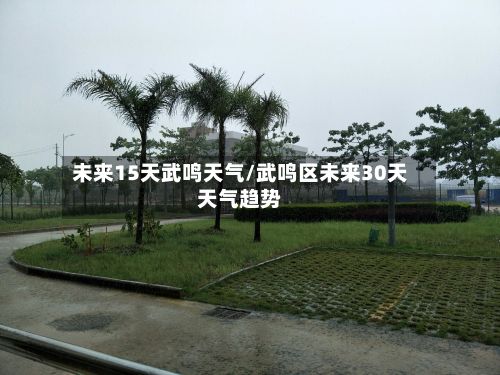未来15天武鸣天气/武鸣区未来30天天气趋势
