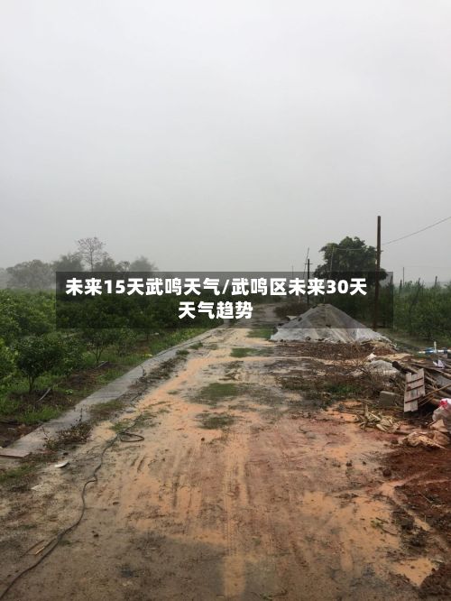 未来15天武鸣天气/武鸣区未来30天天气趋势-第2张图片