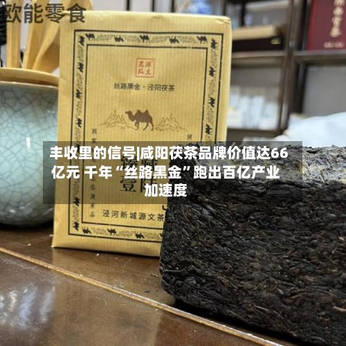 丰收里的信号|咸阳茯茶品牌价值达66亿元 千年“丝路黑金”跑出百亿产业加速度-第2张图片