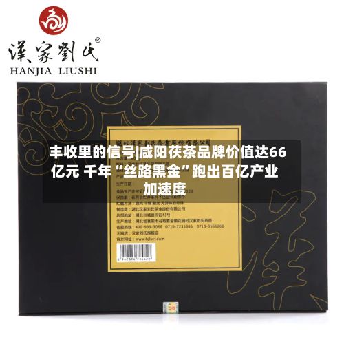 丰收里的信号|咸阳茯茶品牌价值达66亿元 千年“丝路黑金	”跑出百亿产业加速度-第3张图片