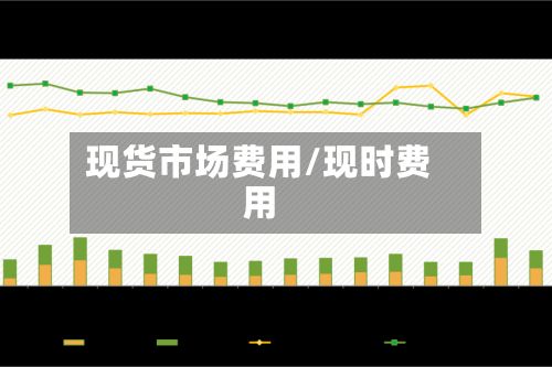 现货市场费用/现时费用-第2张图片