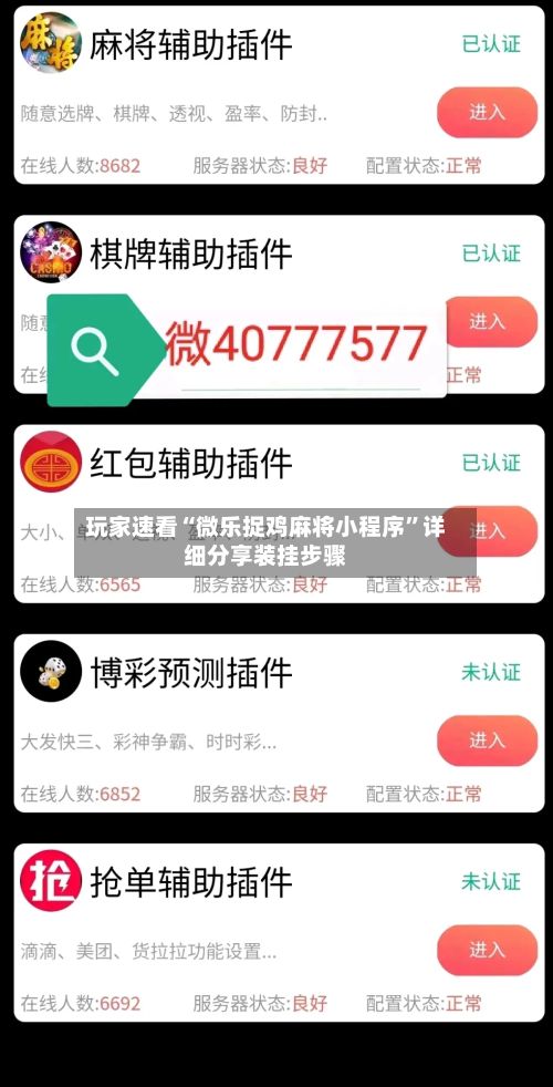 玩家速看“微乐捉鸡麻将小程序	”详细分享装挂步骤-第2张图片