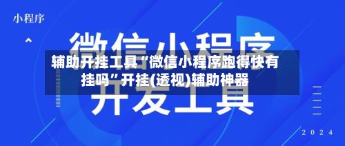 辅助开挂工具“微信小程序跑得快有挂吗	”开挂(透视)辅助神器-第2张图片