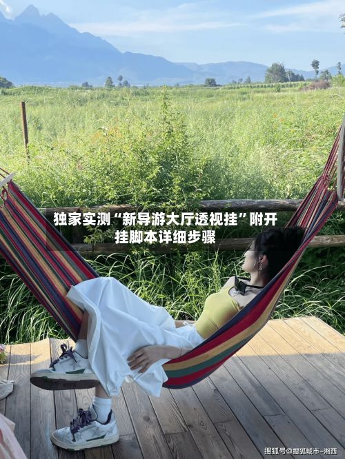 独家实测“新导游大厅透视挂	”附开挂脚本详细步骤-第2张图片