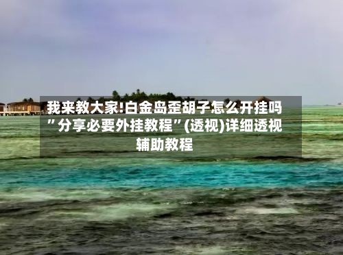 我来教大家!白金岛歪胡子怎么开挂吗”分享必要外挂教程	”(透视)详细透视辅助教程-第2张图片