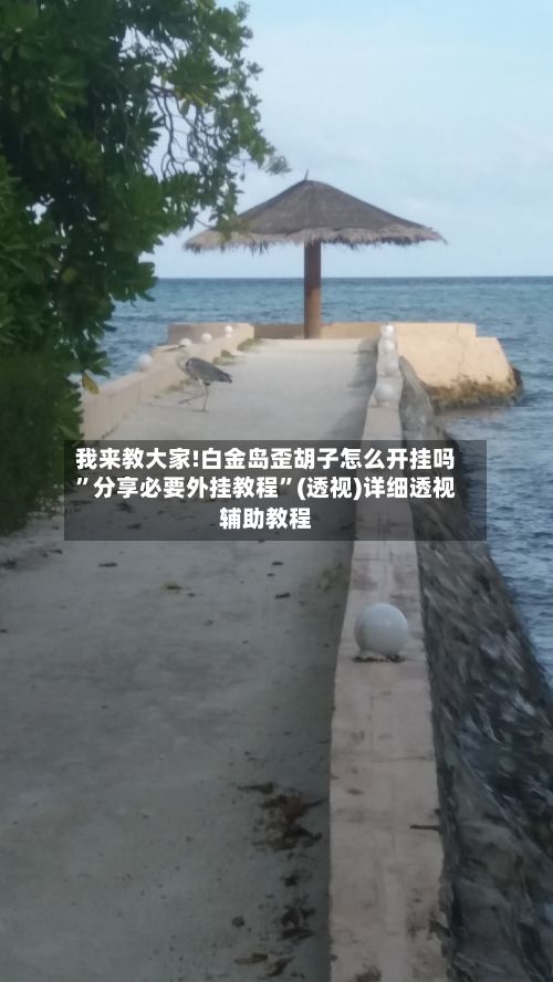 我来教大家!白金岛歪胡子怎么开挂吗”分享必要外挂教程”(透视)详细透视辅助教程-第3张图片