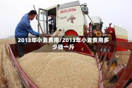 2013年小麦费用/2013年小麦费用多少钱一斤-第2张图片