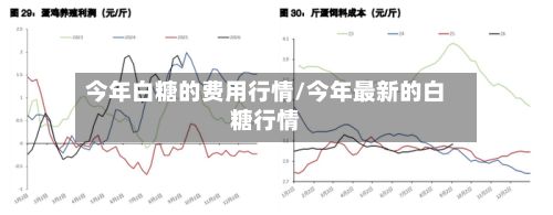 今年白糖的费用行情/今年最新的白糖行情