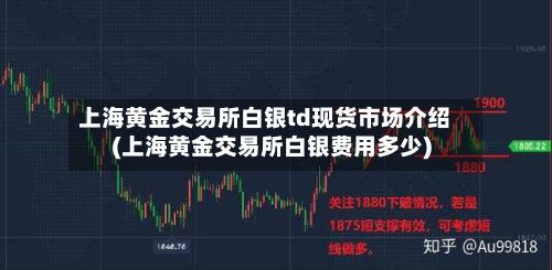 上海黄金交易所白银td现货市场介绍(上海黄金交易所白银费用多少)