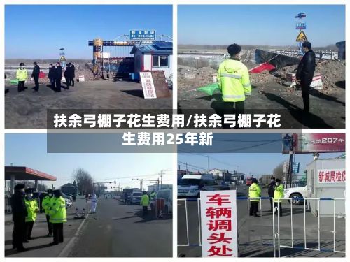 扶余弓棚子花生费用/扶余弓棚子花生费用25年新-第3张图片