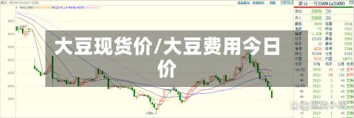 大豆现货价/大豆费用今日价