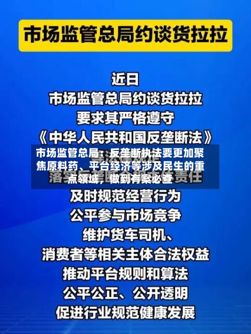 市场监管总局：反垄断执法要更加聚焦原料药	、平台经济等涉及民生的重点领域，做到有案必查-第2张图片