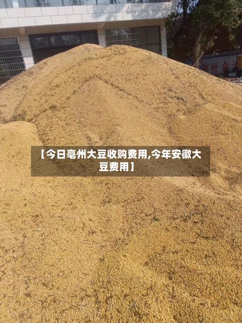 【今日亳州大豆收购费用,今年安徽大豆费用】-第2张图片