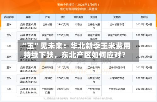“玉”见未来：华北新季玉米费用持续下跌，东北产区如何应对？-第2张图片