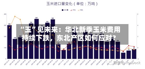 “玉	”见未来：华北新季玉米费用持续下跌，东北产区如何应对？-第1张图片