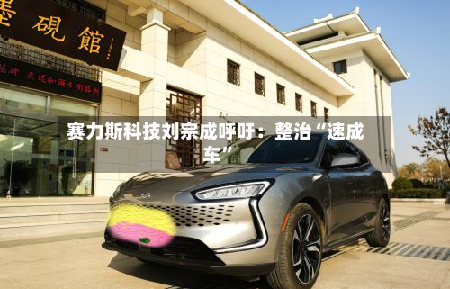 赛力斯科技刘宗成呼吁：整治“速成车	”-第1张图片