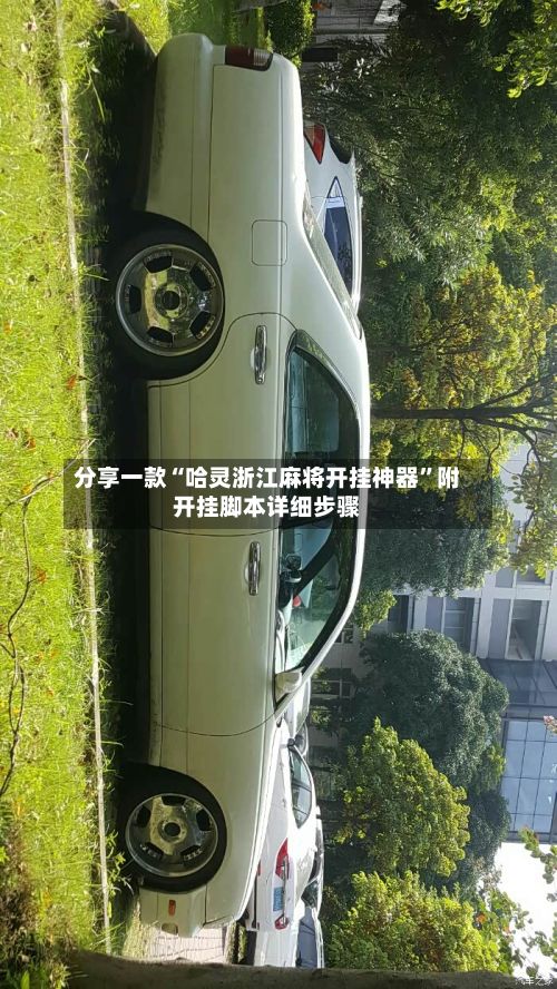 分享一款“哈灵浙江麻将开挂神器	”附开挂脚本详细步骤-第2张图片