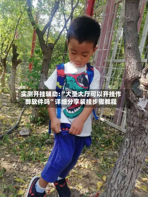 实测开挂辅助:“大圣大厅可以开挂作弊软件吗”详细分享装挂步骤教程-第2张图片