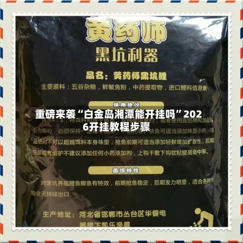 重磅来袭“白金岛湘潭能开挂吗”2026开挂教程步骤-第3张图片