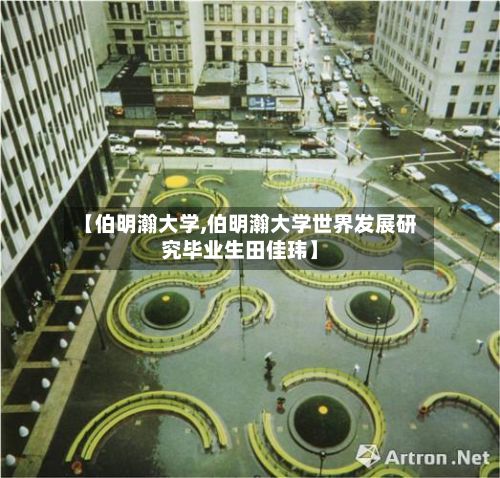 【伯明瀚大学,伯明瀚大学世界发展研究毕业生田佳玮】-第2张图片