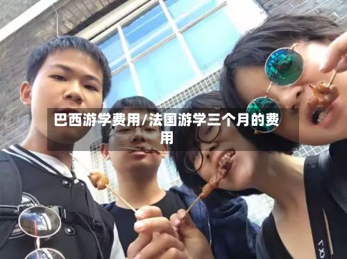 巴西游学费用/法国游学三个月的费用
