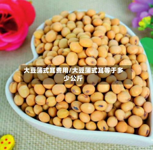 大豆蒲式耳费用/大豆蒲式耳等于多少公斤