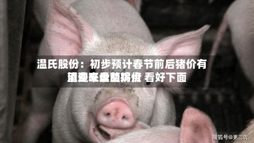 温氏股份:初步预计春节前后猪价有望迎来盘整拐点 看好下面
消费旺季的鸡价