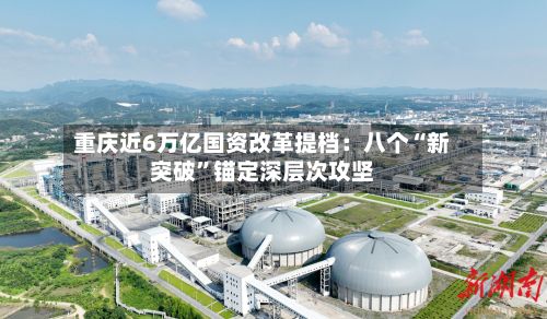 重庆近6万亿国资改革提档：八个“新突破”锚定深层次攻坚-第2张图片