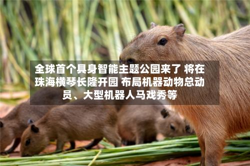 全球首个具身智能主题公园来了 将在珠海横琴长隆开园 布局机器动物总动员、大型机器人马戏秀等-第2张图片