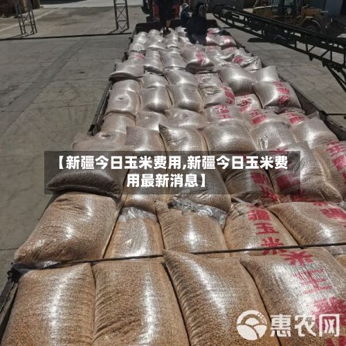 【新疆今日玉米费用,新疆今日玉米费用最新消息】