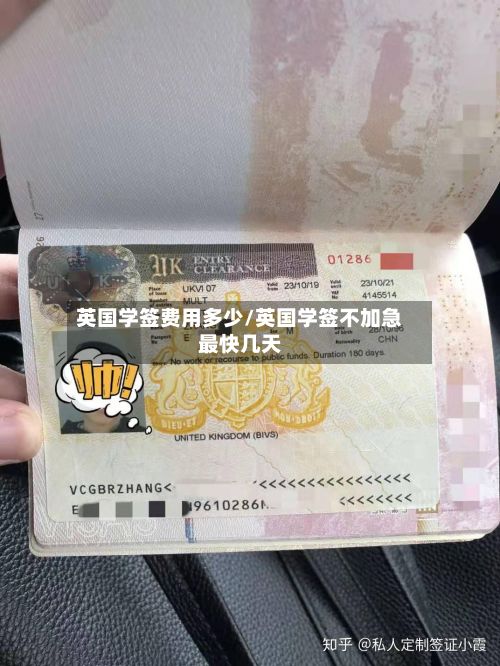 英国学签费用多少/英国学签不加急最快几天-第2张图片