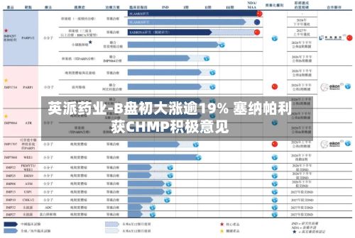 英派药业-B盘初大涨逾19% 塞纳帕利获CHMP积极意见-第1张图片