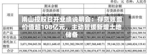 南山控股召开业绩说明会：存货账面价值超108亿元，主动暂缓新增土地储备-第1张图片