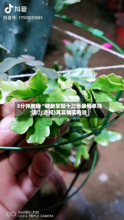 3分钟教程“辅助掌酷十三张最简单挂法”(透视)其实确实有挂-第3张图片