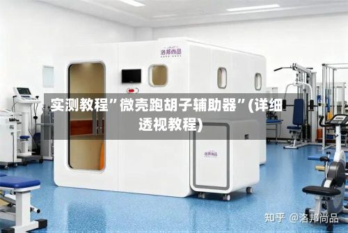 实测教程”微壳跑胡子辅助器	”(详细透视教程)-第2张图片