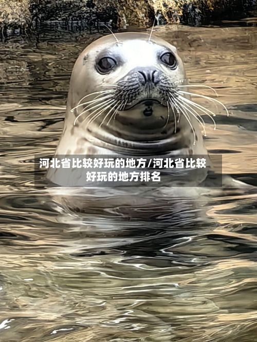 河北省比较好玩的地方/河北省比较好玩的地方排名