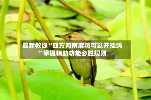 最新教你“四方河南麻将可以开挂吗”掌握辅助功能必胜规则-第2张图片
