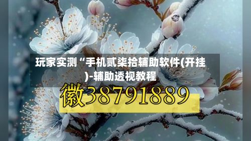 玩家实测“手机贰柒拾辅助软件(开挂)-辅助透视教程
