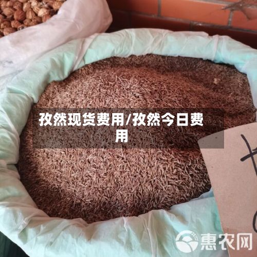孜然现货费用/孜然今日费用
