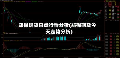 郑棉现货白盘行情分析(郑棉期货今天走势分析)